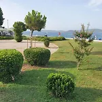 Renata *