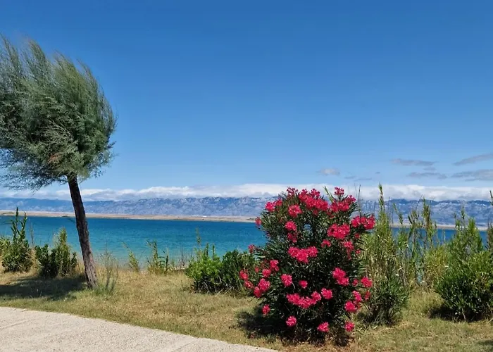 Apartman Renata